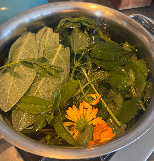 fresh herbs in an immune tonic tea 